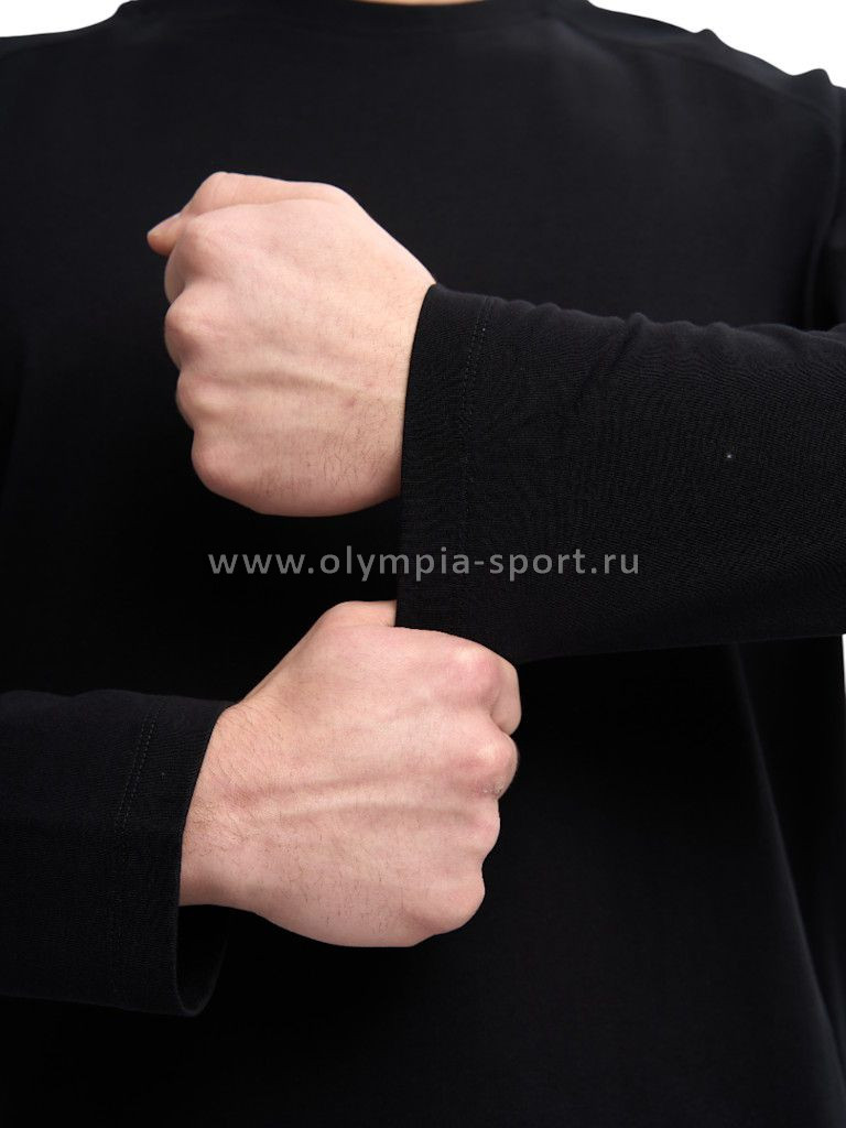 Лонгслив мужской Strobbs E2411-3 черный