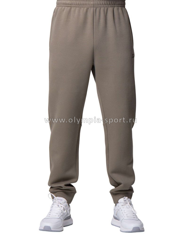 Брюки мужские Strobbs E2422-24 серо-зеленый